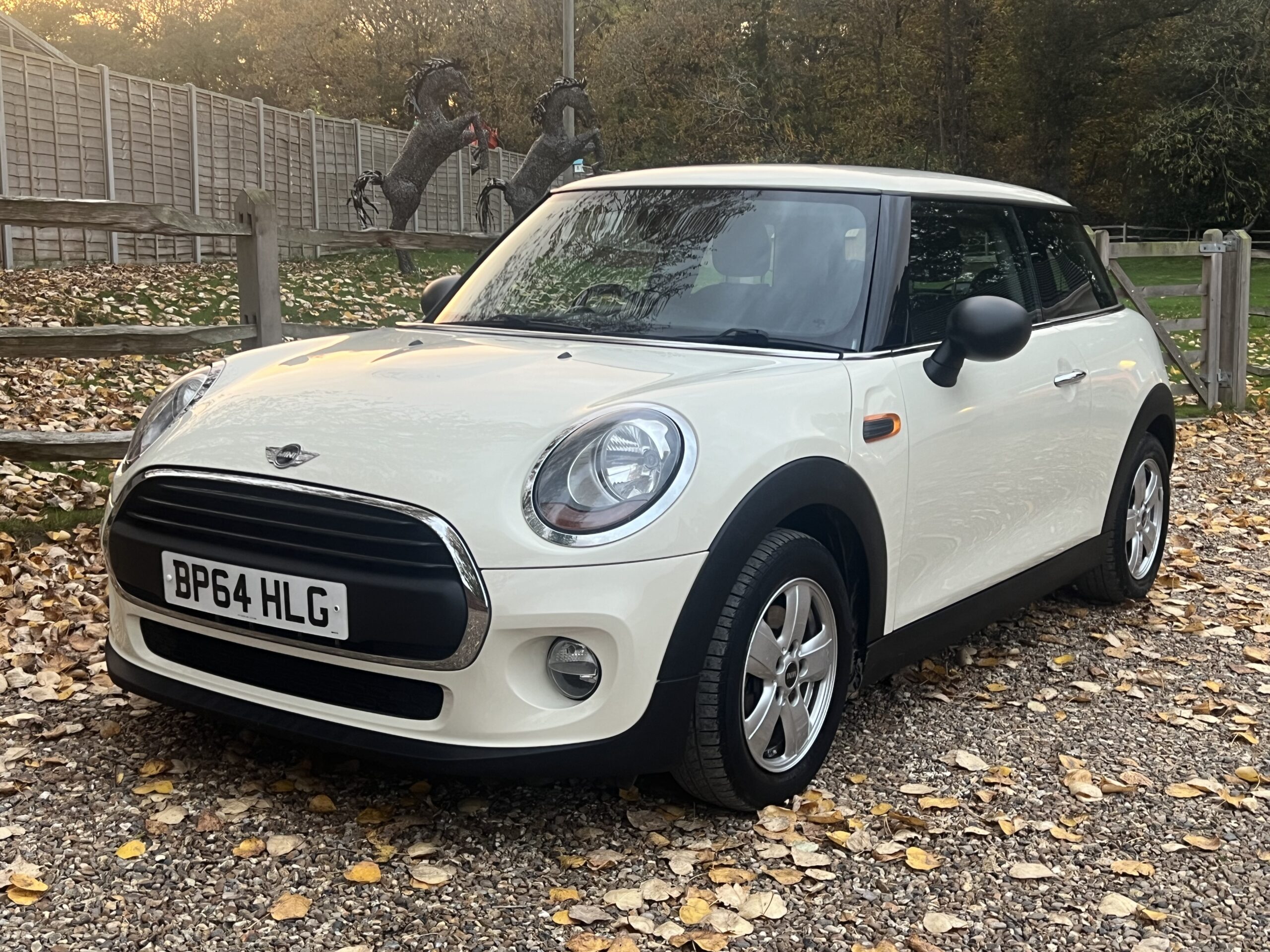 
								Mini One 2015 White full									
