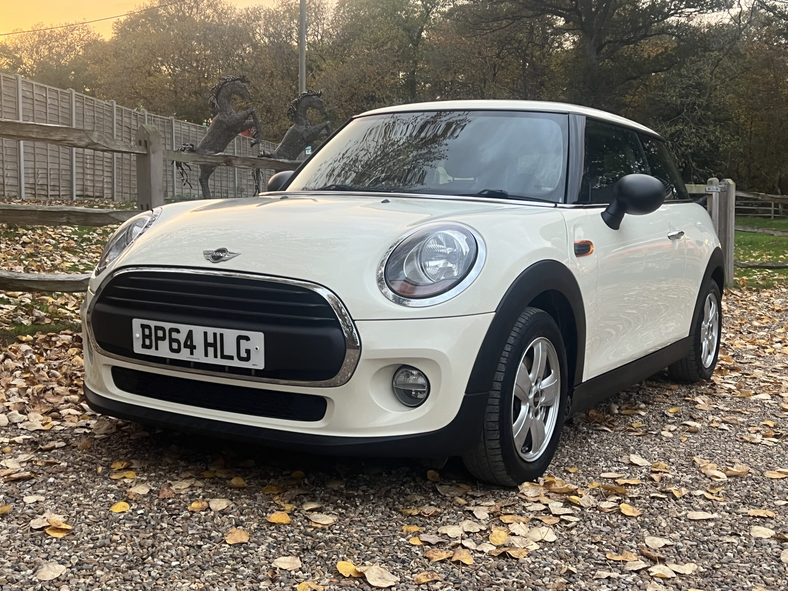 
								Mini One 2015 White full									